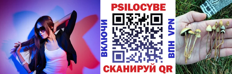 Купить закладки  Тобольск  Псилоцибиновые грибы Magic Shrooms 
